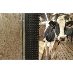 Bioret Dairy Scratchy sarokgumi vakaródzó