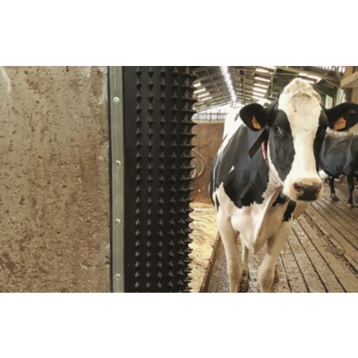 Bioret Dairy Scratchy sarokgumi vakaródzó